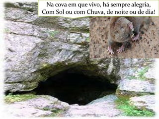 Na cova em que vivo, há sempre alegria,
Com Sol ou com Chuva, de noite ou de dia!

 