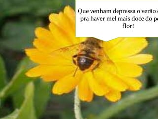 Que venham depressa o verão e
pra haver mel mais doce do pó
flor!

 