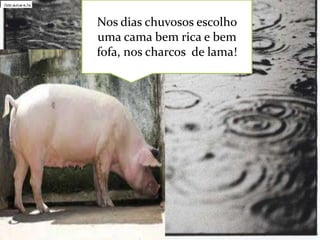 TodosQuadradoHorizontalVertical
•Mais 8 3 B /s F
TodosSó E
/im ag
1 0 9 e s rostosCabeça e ombros
•Pessoas
•Limpar filtros
TodosSó rostosCabeça e ombros
•Pesquisa Segura:
•Limpar filtros
•Moderada
•Pesquisa Segura:
EstritaModerada (predefinição)Desactivada
•Moderada
•198 resultados
EstritaModerada (predefinição)Desactivada
•198 resultados

Nos dias chuvosos escolho
uma cama bem rica e bem
fofa, nos charcos de lama!

conta Microsoft
conta Microsoft
Desligado
Desligado

Ligar
Ligar

 