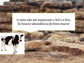 A mim não me importam o Sol e o frio,
Se houver abundância de feno macio!

 