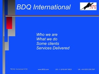 BDQ International Who we are What we do Some clients Services Delivered 