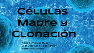 Células
Madre y
Clonación
María Fernández Muñoz
Juan José León Valderrama
Marta Salas Arroyo
 