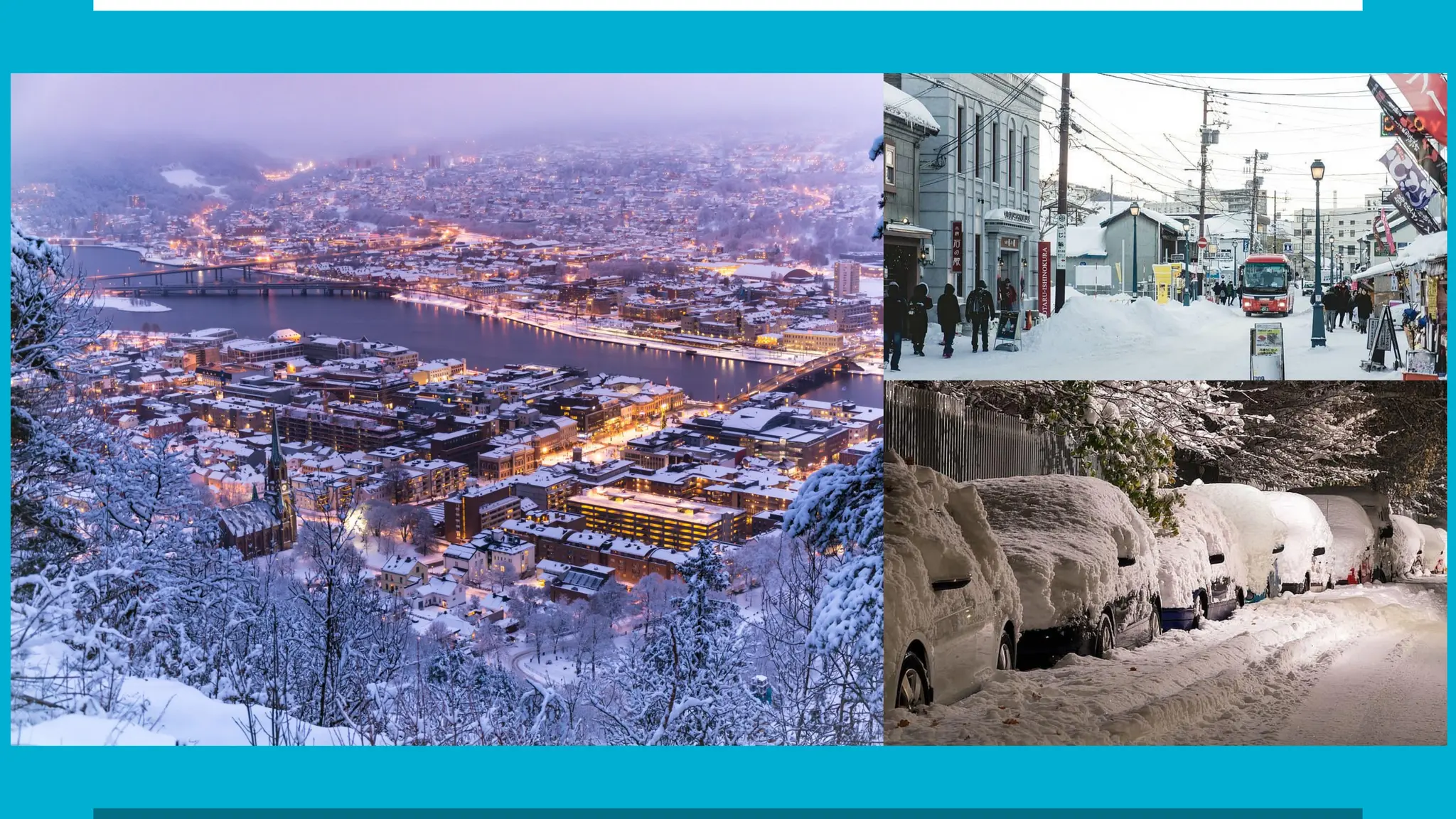 How to survive in cold. Animals and human. | PDF
