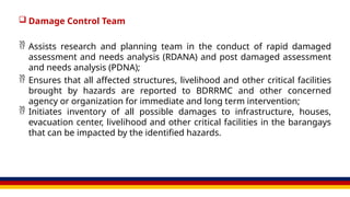 Barangay Disaster Risk Reduction and Management Committee Composition ...