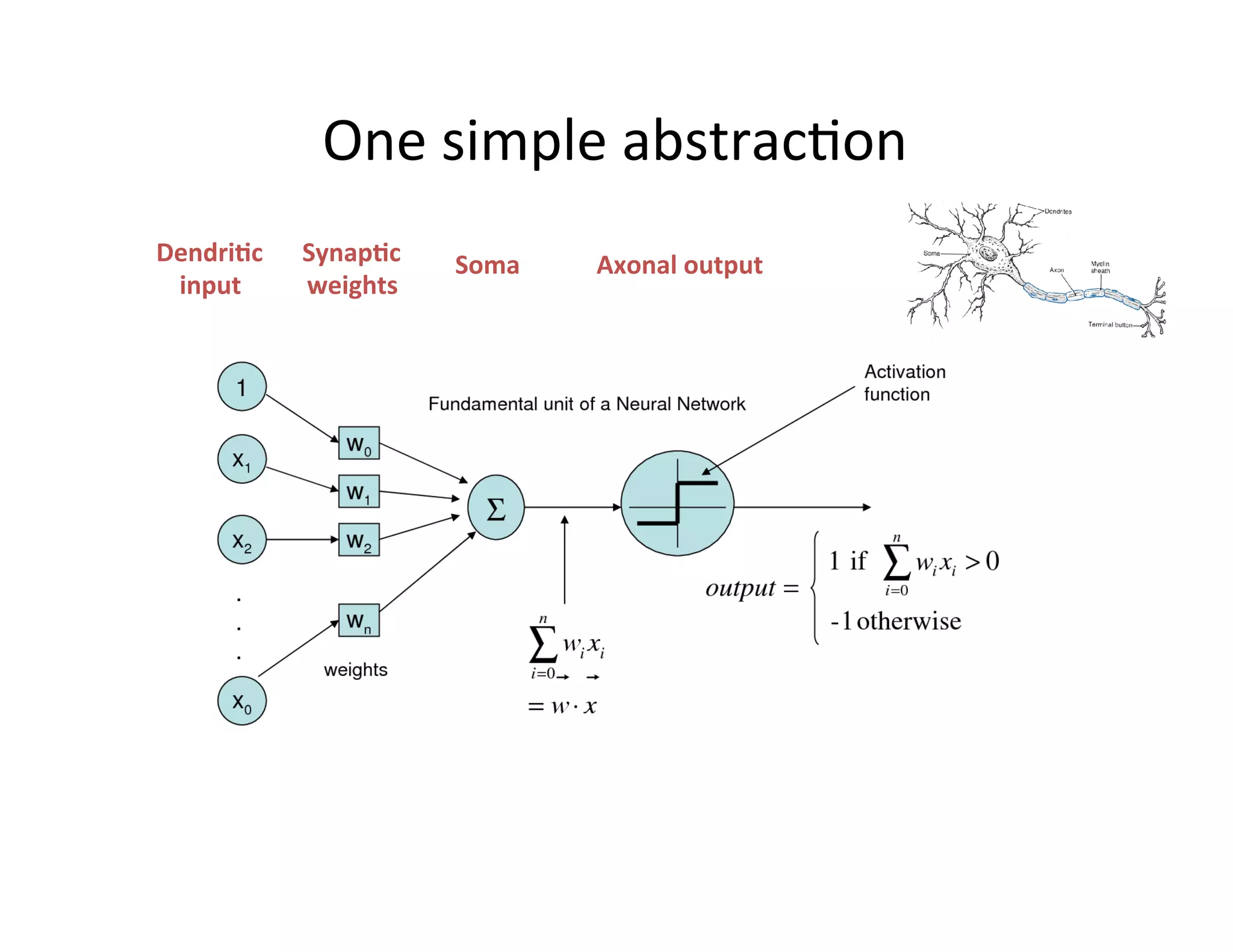 One	
  simple	
  abstracFon	
  
Dendri'c	
  
input	
  
Synap'c	
  
weights	
  
Soma	
   Axonal	
  output	
  
 