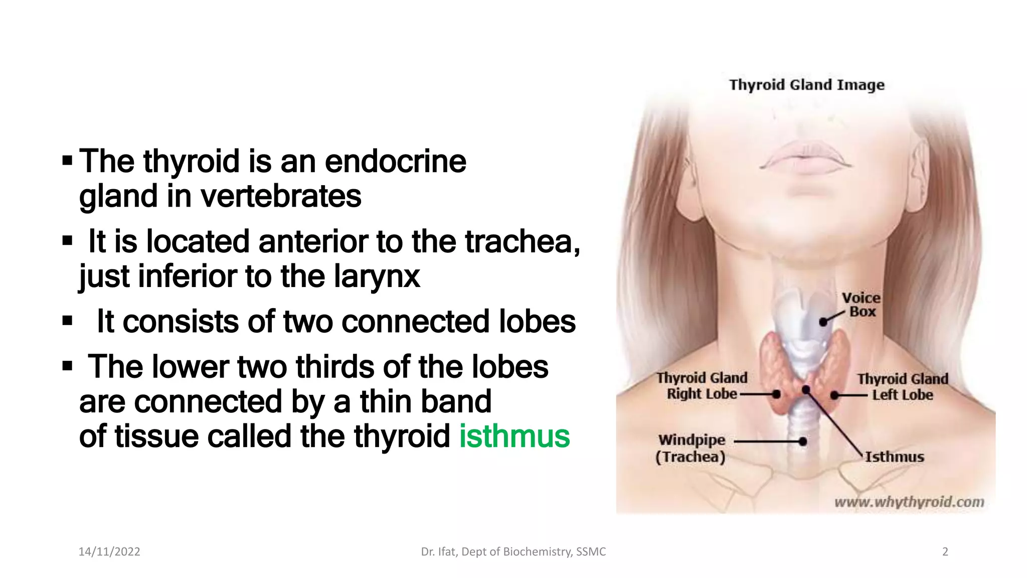 Thyroid Function test.pptx