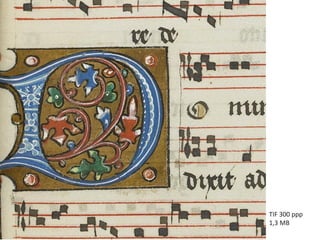 Imagens digitais
TIF 300 ppp
1,3 MB
 