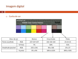  Cunha de cor
Imagem digital
46
Área de cor Branco Cinza fundo Preto
Ponto escolhido RGB 237-237-237 102-102-102 23-23-23
% Preto 7% 60% 91%
Amplitude possível RGB 233 a 241 98 a 106 19 a 27
% preto 5% a 9% 58% to 62% 89% a 93%
 