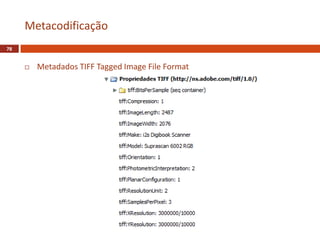  Metadados TIFF Tagged Image File Format
Metacodificação
78
 