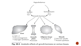Tp Flag POSTERIOR PITUITARY HORMONES FOR MEDICAL STUDENTS.pptx