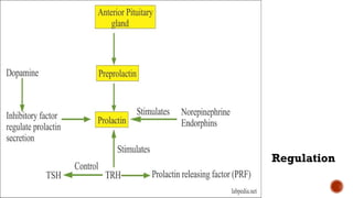 Tp Flag POSTERIOR PITUITARY HORMONES FOR MEDICAL STUDENTS.pptx