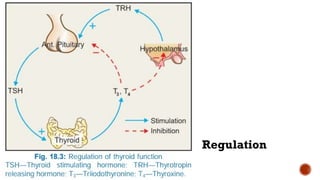 Tp Flag POSTERIOR PITUITARY HORMONES FOR MEDICAL STUDENTS.pptx
