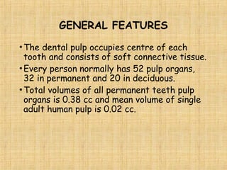 Soft Pulp Human Dental pulp is a connective tissue | PPT