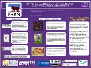 Batten Animal Research NNeettwwoorrkk ((BBAARRNN)):: 
VVaarriiaanntt IInnffaannttiillee BBaatttteenn DDiisseeaassee 
 BARN is an international collaboration set up to coordinate studies of animal 
models of Batten disease. 
 We share resources, experiments and grants, exchange students, visit each 
other and plan together. 
WHAT THIS MEANS 
FOR THERAPY 
Increasing understanding of the 
normal function of NCL proteins will 
increase the likelihood of successful 
drug development. 
Gene therapy using AAV vectors for 
CLN5 and CLN6 sheep are in 
progress. Sheep were treated at 
2-3 months of age (Nov/Dec 2013). 
Analysis of disease progression using 
the biomarker tests we have 
developed is ongoing. 
BARN has shown the benefits of 
collaboration with increased 
research outputs, sharing of 
resources and funding, increased 
student opportunities and 
two-way information sharing with 
parent groups. 
People: Professor David Palmer, PhD students, 
Nadia Mitchell Janet Xu, Jarol Chen, Katharina 
Russell and our invaluable animal technicians. 
Focus: Disease mechanisms and developing 
therapies, gene injections, biomarkers, 
neuroinflammation, providing neural cell cultures 
Resources: CLN5 affected Borderdales and 
CLN6 affected South Hampshire sheep. 
david.palmer@lincoln.ac.nz 
People: Dr. Stephanie Hughes, PhD students 
Nicole Neverman and Hannah Best, Hollie Wicky, 
Dr. Lucia Schoderböck and Kristina McIntyre 
Focus: Gene therapy vectors for sheep gene 
therapy trials. Modelling pathology of Batten 
disease in neuronal cultures and the effectiveness 
of drug and gene therapies. Understanding how 
the disease-causing mutations affect the biology of 
neurons. 
Resources: Vector development and neural 
culture expertise 
stephanie.hughes@otago.ac.nz 
People: Associate Professor Imke Tammen, 
PhD student, Izmira Mohd Ismail, technical 
support, and Sydney U veterinary staff 
Focus: Molecular characterisation of animal 
models for NCLs, disease progression and 
behaviour studies of the affected Merino flock 
Resources: CLN6 affected Merino sheep 
and genetics laboratory 
imke.tammen@sydney.edu.au> 
Collaborators: Professor Sir John Walker, Mitochondrial Biology Unit, 
MRC, Cambridge, Professor Jenny Morton, Cambridge University and 
Professor Jon Cooper, Kings College, London; and their colleagues 
KEY RECENT RESEARCH 
Neuronal cultures from both CLN5 and CLN6 sheep 
models are showing us the very early stages of disease, 
and suggesting potential drug targets to halt these. 
These cells are being used to understand the normal 
function of CLN5 and CLN6 proteins and to rapidly 
screen drug and gene therapies. 
Measures of disease progression (biomarkers) such as 
behavioral and sight testing, CT and MRI scanning and 
inflammatory markers have been developed. 
These biomarkers are being used in our gene and drug 
therapy trials to access their effectiveness. 
The mutations in the two sheep CLN6 forms and the 
CLN5 form have been identified, and the effects of these 
mutations on protein function studied in neuronal culture 
and sheep tissues. 
Analysis of the neuroinflammatory cascade during 
disease development aim to identify new drug targets. 
GENE THERAPY TRIALS IN CLN5 AND CLN6 DISEASE 
Previous lentiviral gene therapy trials showed limited 
effect due to the small spread of the viral vector. 
Adeno-associated virus (AAV) tests in sheep show 
significant spread of gene products throughout the brain 
(brown staining in figure). 
BARN TEAMS 
