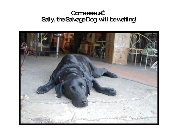 Black Dog Architectural Salvage Roanoke VA