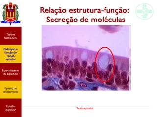 Tecido epitelial
Relação estrutura-função:
Secreção de moléculas
Especializações
de superfície
Definição e
função do
tecido
epitelial
Tecidos
histológicos
Epitélio de
revestimento
Epitélio
glandular
 