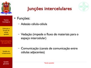 Tecido epitelial
Junções intercelulares
● Funções:
– Adesão célula-célula
– Vedação (impede o fluxo de materiais para o
espaço intercelular)
– Comunicação (canais de comunicação entre
células adjacentes)
Especializações
de superfície
Definição e
função do
tecido
epitelial
Tecidos
histológicos
Epitélio de
revestimento
Epitélio
glandular
 