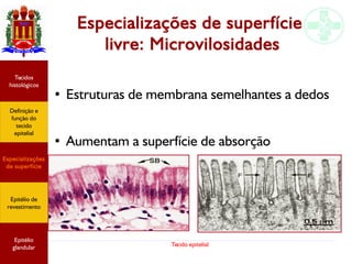 Tecido epitelial
Especializações de superfície
livre: Microvilosidades
● Estruturas de membrana semelhantes a dedos
● Aumentam a superfície de absorção
Especializações
de superfície
Definição e
função do
tecido
epitelial
Tecidos
histológicos
Epitélio de
revestimento
Epitélio
glandular
 