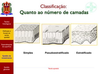 Tecido epitelial
Classificação:
Quanto ao número de camadas
Simples EstratificadoPseudoestratificado
Especializações
de superfície
Definição e
função do
tecido
epitelial
Tecidos
histológicos
Epitélio de
revestimento
Epitélio
glandular
 