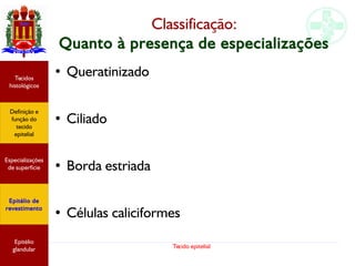 Tecido epitelial
Classificação:
Quanto à presença de especializações
● Queratinizado
● Ciliado
● Borda estriada
● Células caliciformes
Especializações
de superfície
Definição e
função do
tecido
epitelial
Tecidos
histológicos
Epitélio de
revestimento
Epitélio
glandular
 