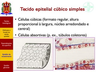 Tecido epitelial
Tecido epitelial cúbico simples
● Células cúbicas (formato regular, altura
proporcional à largura, núcleo arredondado e
central)
● Células absortivas (p. ex., túbulos coletores)
Especializações
de superfície
Definição e
função do
tecido
epitelial
Tecidos
histológicos
Epitélio de
revestimento
Epitélio
glandular
 