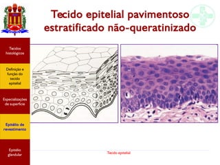Tecido epitelial
Tecido epitelial pavimentoso
estratificado não-queratinizado
Especializações
de superfície
Definição e
função do
tecido
epitelial
Tecidos
histológicos
Epitélio de
revestimento
Epitélio
glandular
 