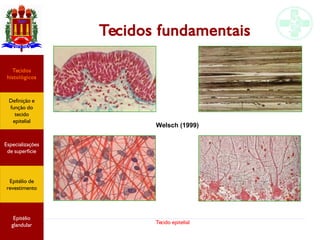 Tecido epitelial
Tecidos fundamentais
Welsch (1999)
Especializações
de superfície
Definição e
função do
tecido
epitelial
Tecidos
histológicos
Epitélio de
revestimento
Epitélio
glandular
 