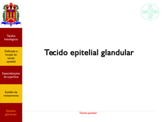 Tecido epitelial
Tecido epitelial glandular
Especializações
de superfície
Definição e
função do
tecido
epitelial
Tecidos
histológicos
Epitélio de
revestimento
Epitélio
glandular
 
