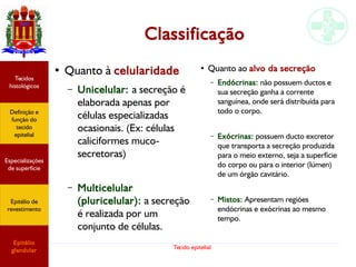 Tecido epitelial
Classificação
Especializações
de superfície
Definição e
função do
tecido
epitelial
Tecidos
histológicos
Epitélio de
revestimento
Epitélio
glandular
●
Quanto à celularidade
– Unicelular: a secreção é
elaborada apenas por
células especializadas
ocasionais. (Ex: células
caliciformes muco-
secretoras)
– Multicelular
(pluricelular): a secreção
é realizada por um
conjunto de células.
●
Quanto ao alvo da secreção
– Endócrinas: não possuem ductos e
sua secreção ganha a corrente
sanguínea, onde será distribuída para
todo o corpo.
– Exócrinas: possuem ducto excretor
que transporta a secreção produzida
para o meio externo, seja a superfície
do corpo ou para o interior (lúmen)
de um órgão cavitário.
– Mistos: Apresentam regiões
endócrinas e exócrinas ao mesmo
tempo.
 