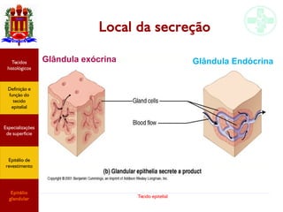 Tecido epitelial
Local da secreção
Glândula exócrina Glândula Endócrina
Especializações
de superfície
Definição e
função do
tecido
epitelial
Tecidos
histológicos
Epitélio de
revestimento
Epitélio
glandular
 