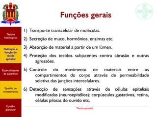 Tecido epitelial
Funções gerais
1) Transporte transcelular de moléculas.
2) Secreção de muco, hormônios, enzimas etc.
3) Absorção de material a partir de um lúmen.
4) Proteção dos tecidos subjacentes contra abrasão e outras
agressões.
5) Controle do movimento de materiais entre os
compartimentos do corpo através de permeabilidade
seletiva das junções intercelulares.
6) Detecção de sensações através de células epiteliais
modificadas (neuroepitélios): corpúsculos gustativos, retina,
células pilosas do ouvido etc.
Especializações
de superfície
Definição e
função do
tecido
epitelial
Tecidos
histológicos
Epitélio de
revestimento
Epitélio
glandular
 