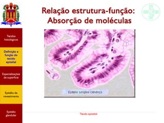 Tecido epitelial
Relação estrutura-função:
Absorção de moléculas
Especializações
de superfície
Definição e
função do
tecido
epitelial
Tecidos
histológicos
Epitélio de
revestimento
Epitélio
glandular
 