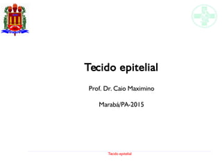 Tecido epitelial
Tecido epitelial
Prof. Dr. Caio Maximino
Marabá/PA-2015
 