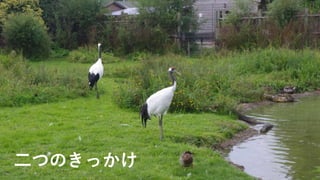 二つのきっかけ 9
 