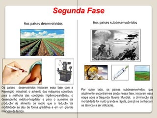 5 dinamica da-populacao_mundial