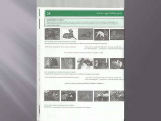 Specialities, inc - PRODUCTOS PARA EL CUIDADO DE LOS ANIMALES. ESPECIALIDADES, INC