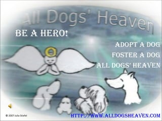 Be A Hero!  Adopt a dog Foster a dog All Dogs’ Heaven http://www.alldogsheaven.com ©  2007 Julia Stiefel 
