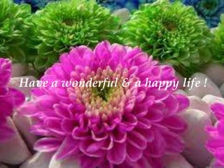 Have a wonderful & a happy life !
 