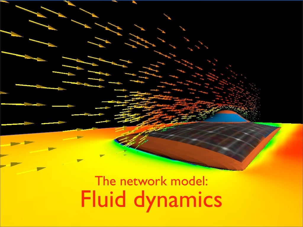 The network model: Fluid dynamics