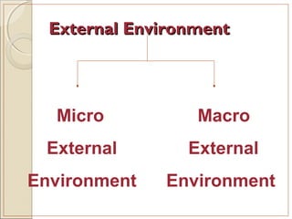 External EnvironmentExternal Environment
Micro Macro
External External
Environment Environment
 