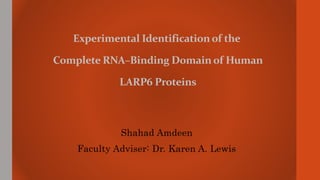 Experimental Identification of the
Complete RNA–Binding Domain of Human
LARP6 Proteins
Shahad Amdeen
Faculty Adviser: Dr. Karen A. Lewis
 