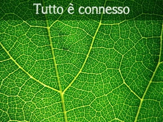 Fai twittare la tua caffettiera in cinque minuti