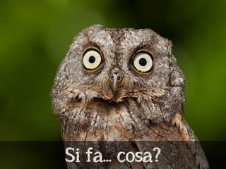 Fai twittare la tua caffettiera in cinque minuti