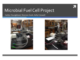  
Microbial Fuel Cell Project 
Caitlyn Youngblood, Shannen Scott, Kelly Creswell 
 