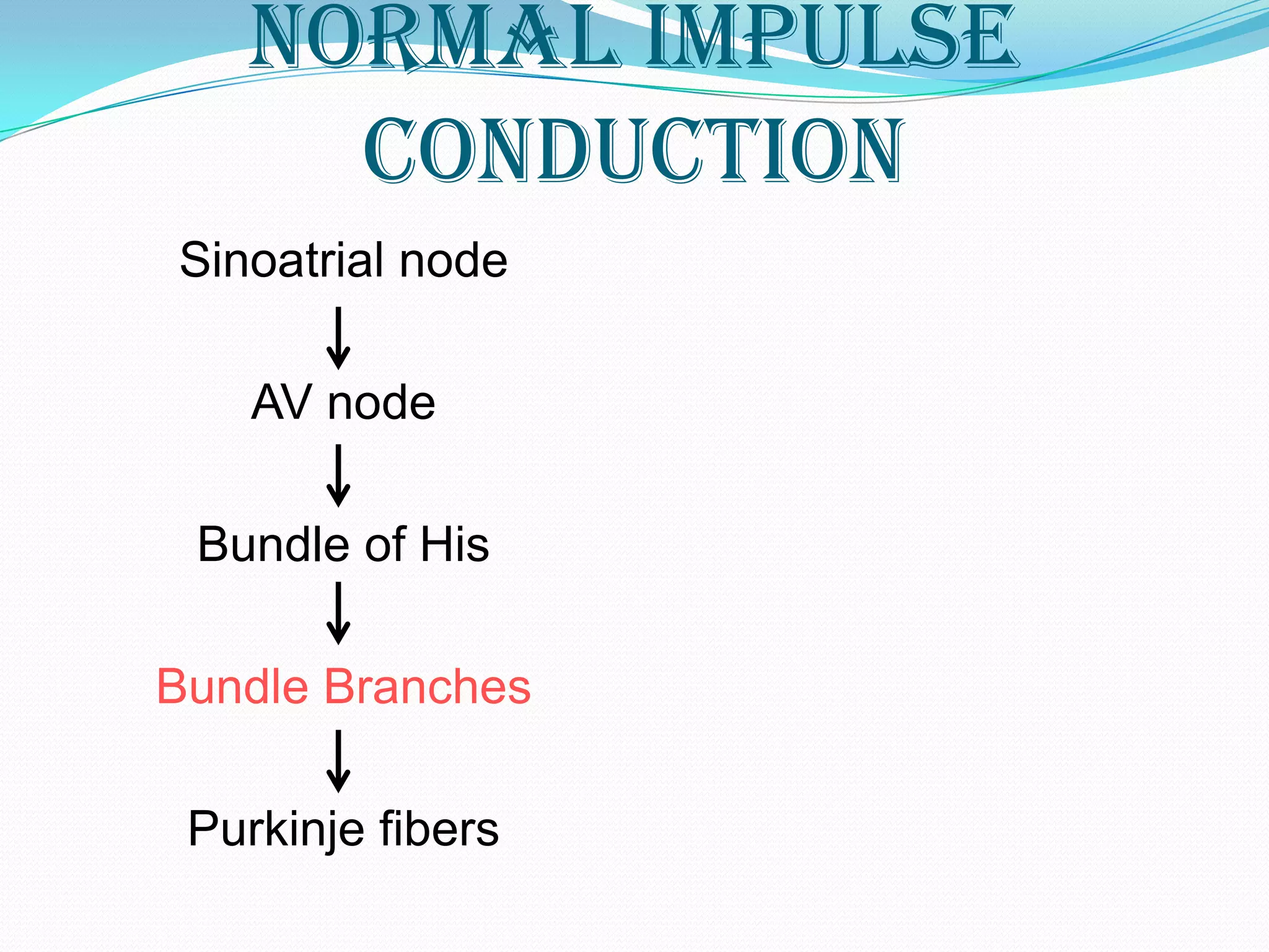 Normal Impulse
     Conduction
Sinoatrial node

    AV node

 Bundle of His

Bundle Branches

 Purkinje fibers
 