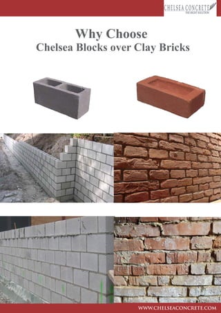 BrochureChelsea | PDF