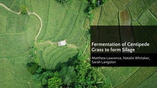 Fermentation of Centipede
Grass to form Silage
Matthew Lawrence, Natalie Whitaker,
Sarah Langston
 
