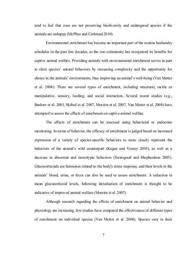 different paragraphs in an essay narrative