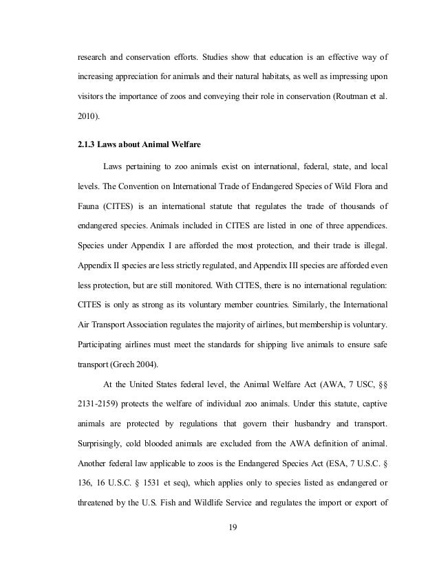 essay on website yourself in french