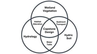 Hydric
Soil
Water
Table
Wetland
Vegetation
Habitat
Alteration
Hydrology
Sediment
Transport
Capstone
Design
 